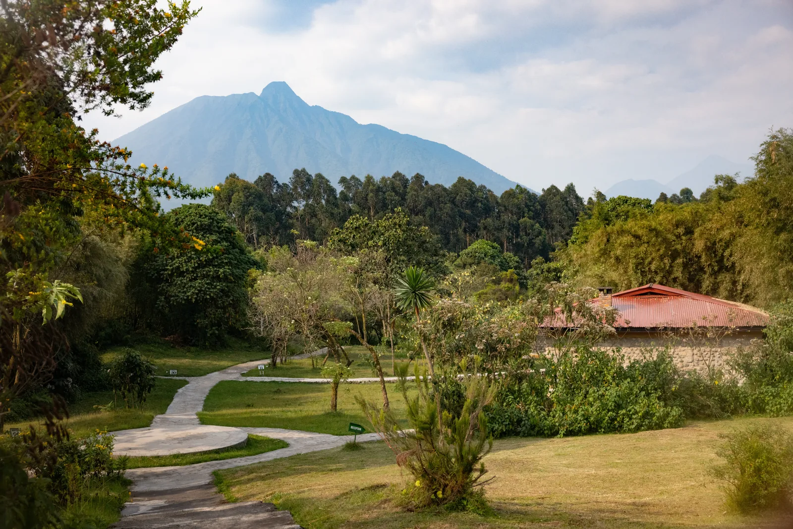 Volcanoes National Park rising behind the lodge gardens